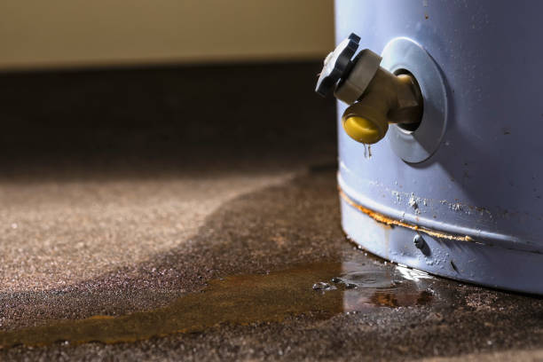 Best Local water damage restoration  in Oakton, VA