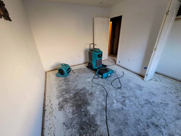 Best Carpet water damage restoration  in Oakton, VA