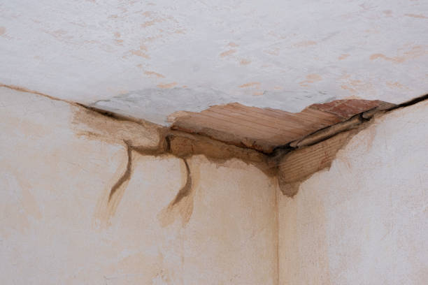 Best 24/7 water damage repair  in Oakton, VA