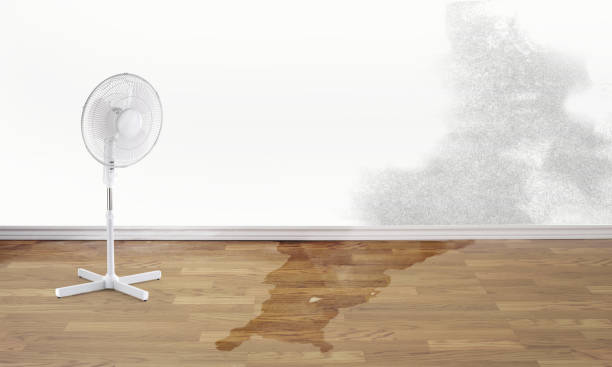 Best Fire Damage Restoration  in Oakton, VA