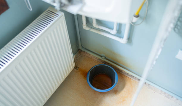 Best Mold removal after water damage  in Oakton, VA