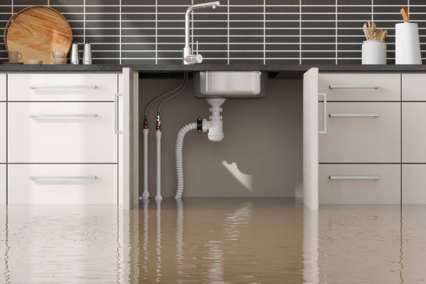Best Water damage restoration near me  in Oakton, VA