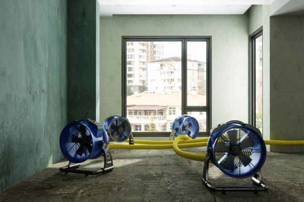 Best Basement water damage restoration  in Oakton, VA