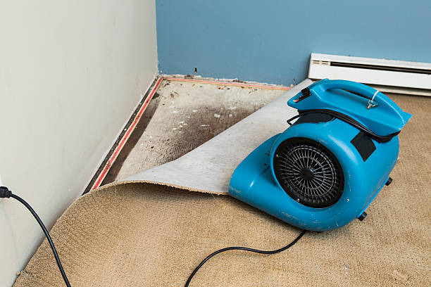 Best Residential water damage restoration  in Oakton, VA